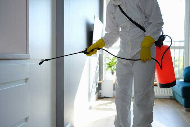 Best Mold Testing and Inspection Services in Riverside, MD